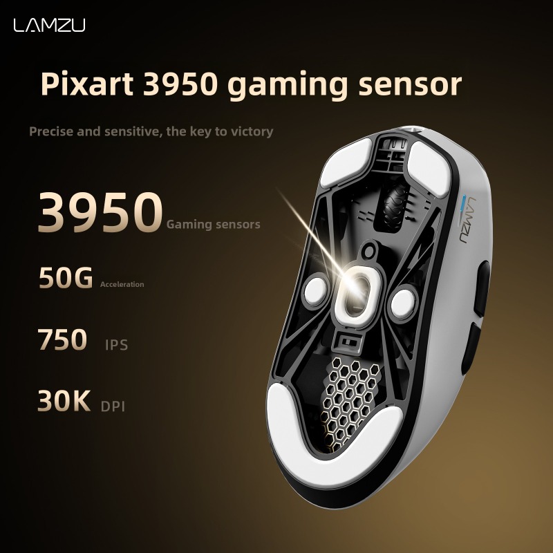 LAMZU Wireless Gaming Mouse 8K - огляд і ціна Esports Gaming Tournaments